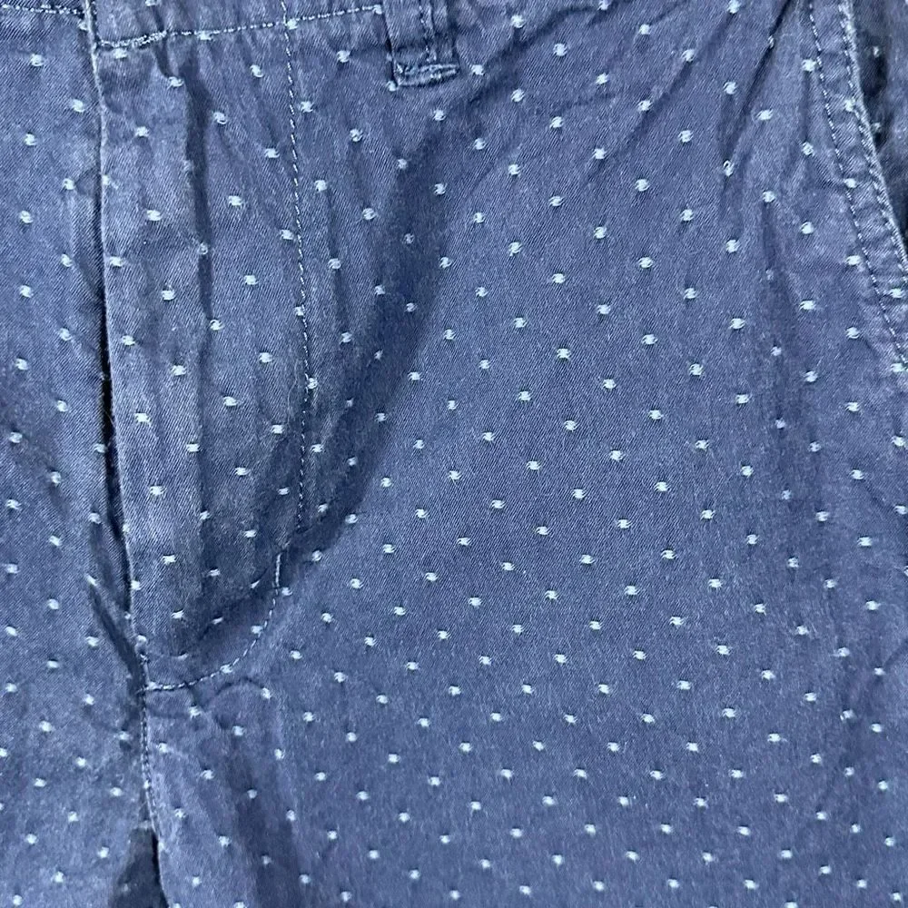 American Eagle Men’s Shorts Flat Front Prep Navy Blue Embroidered Dots 28